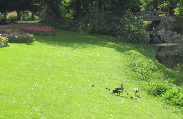 Lapperre en Kasteel Groot Bijgaarden 3-05-2018 (108)