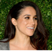 meghan-markles-engagement-to-harry-royal-title-and-citizenship-up