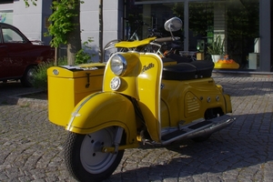 peer (30) - kopie