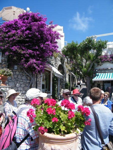 Amalfi Cultuur Reisduiveltje