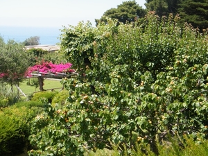 2018_06_10 Amalfi 043