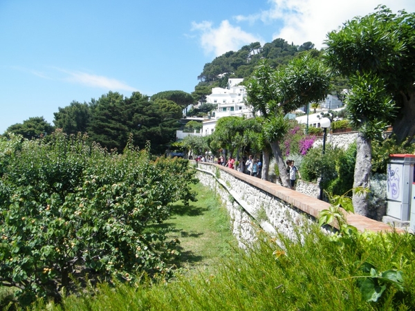 Amalfi Cultuur Reisduiveltje