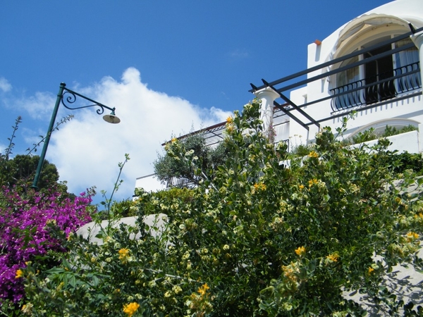 Amalfi Cultuur Reisduiveltje