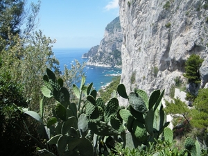 2018_06_10 Amalfi 062