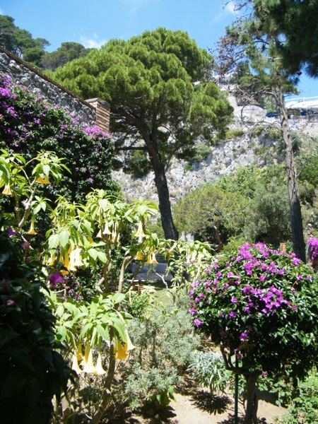 Amalfi Cultuur Reisduiveltje