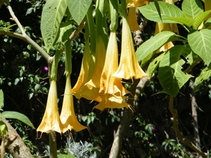 2018_06_10 Amalfi 077