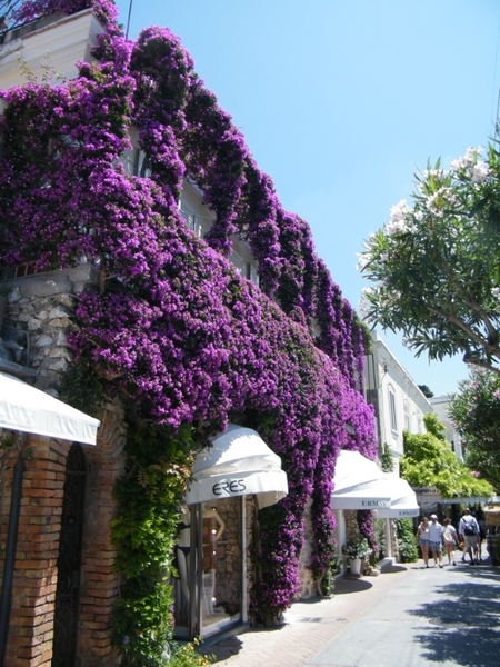 Amalfi Cultuur Reisduiveltje