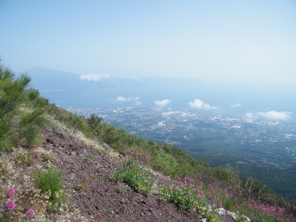 Amalfi Cultuur Reisduiveltje