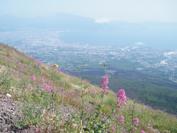 Amalfi Cultuur Reisduiveltje