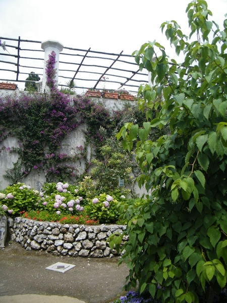 Amalfi Cultuur Reisduiveltje
