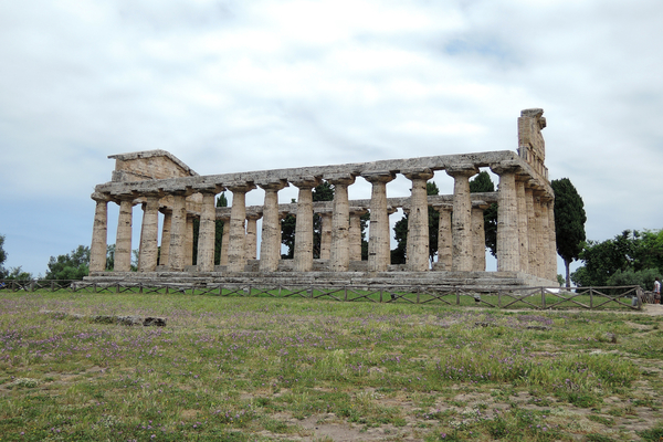 2697v - Paestum Tempel Athena