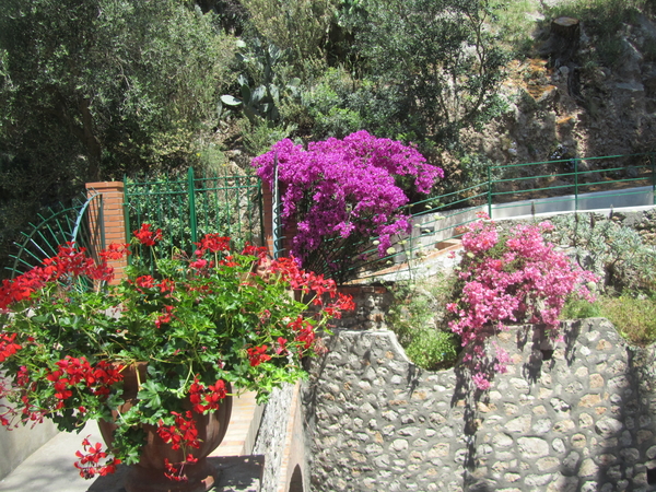 Amalfi Cultuur Reisduiveltje
