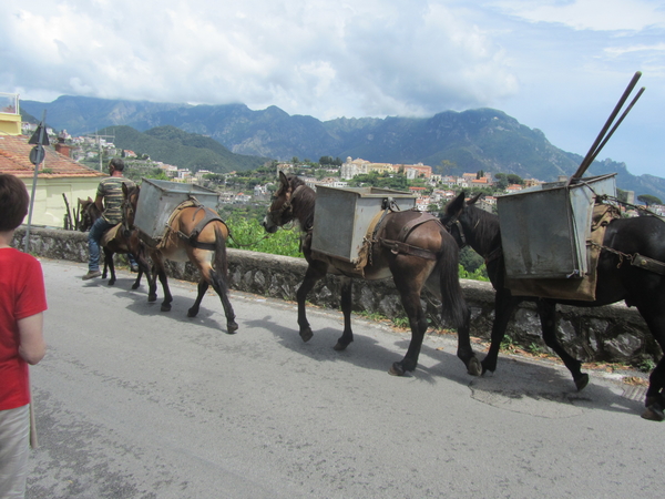 Amalfi Cultuur Reisduiveltje