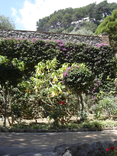 Amalfi Cultuur Reisduiveltje