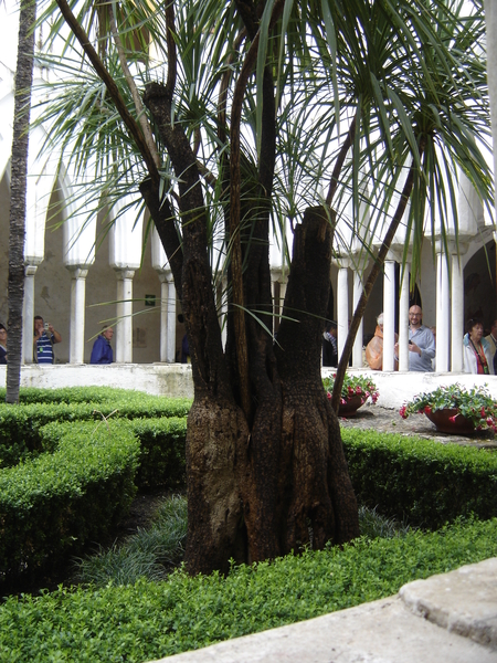 Amalfi Cultuur Reisduiveltje