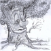 tree-1817755_960_720