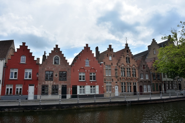 DSC_1377