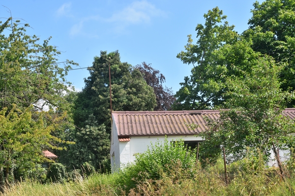DSC_1425