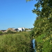 DSC_1485