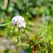 DSC_9805
