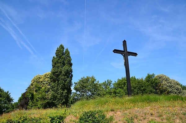 DSC_9852