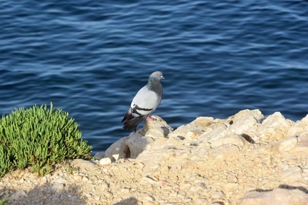 DSC_1595