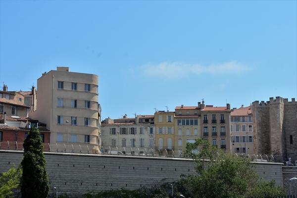 DSC_1666
