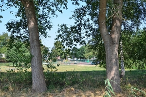 DSC_9974