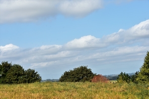 DSC_2518