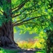 Beautiful-Wallpapers-Of-Trees-4