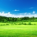 grass-landscape-wallpaper-f23c181af81d788c8ad1a042dc300166