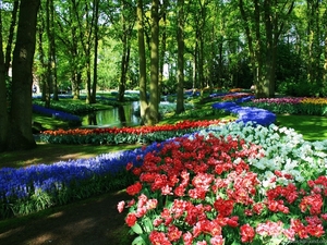 1005622_keukenhof-gardens-netherlands-wallpaper_3888x2592_h
