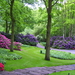 keukenhof_gardens_lovely_nice_grass_flowers-UeVG