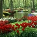 nature-images-hd-colorful-tulips-garden-1024x640