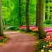 Colorful-Spring-park