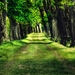 Forest-Park-Trees-Grass-Wallpaper-1280x1024