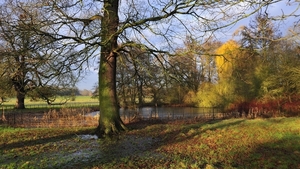 flooded-field-nature-hd-wallpaper-1920x1080-24515