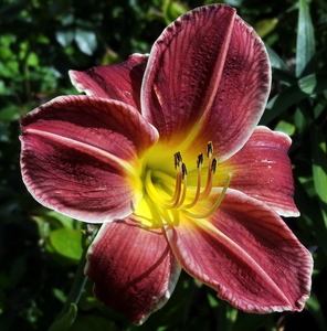 DSC06020