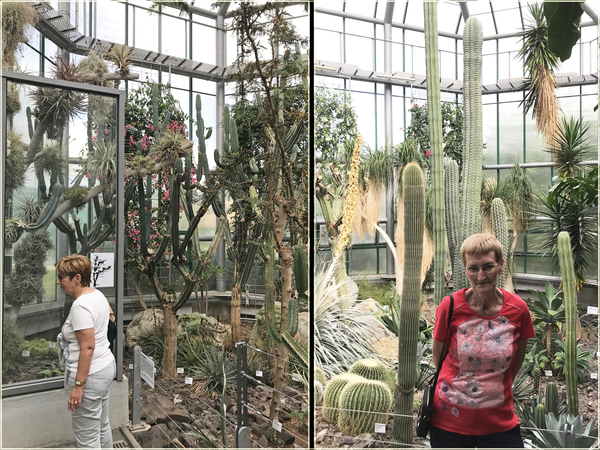 Botanische tuin Liberec