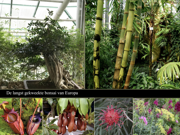 Botanische tuin Liberec