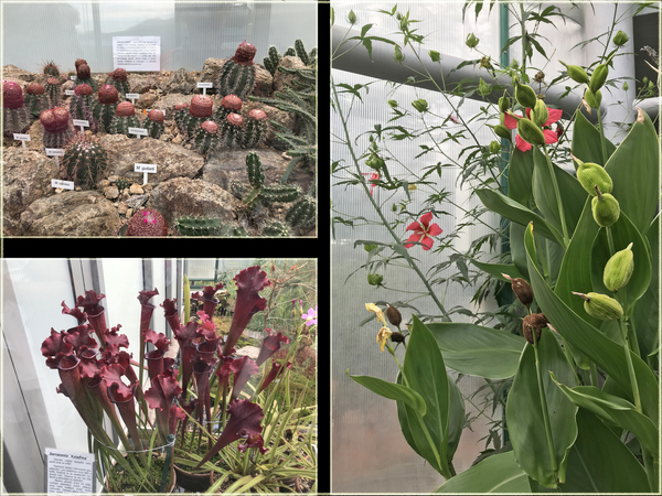 Botanische tuin Liberec