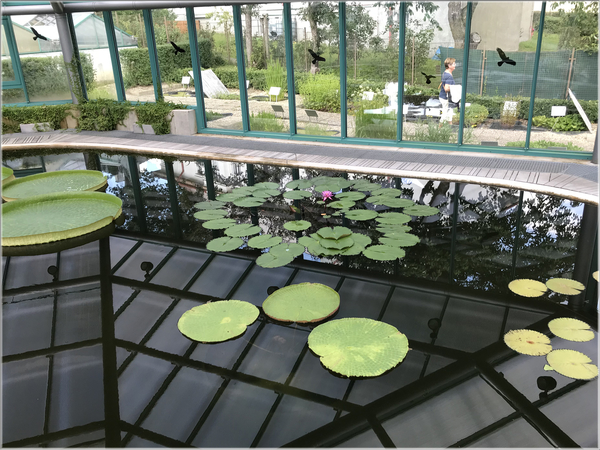 Botanische tuin Liberec