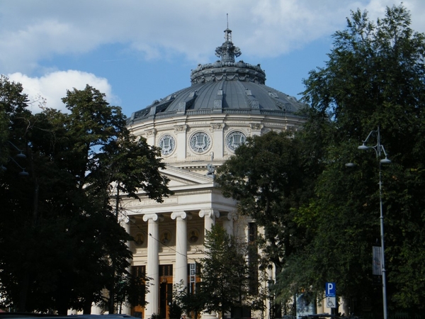 DSCF6320