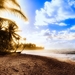 beach-wallpaper-1366x768-palm-trees-on-the-beach