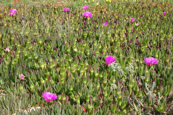 DSC01101