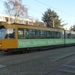 719  JAN GROEN TEGELS (2011)