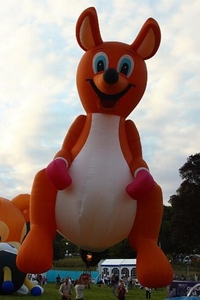 IMG_8356