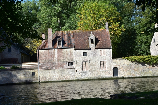 DSC_3716