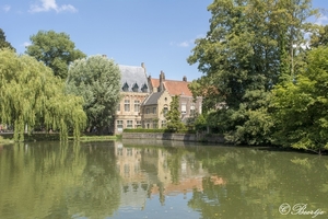 fvd020818