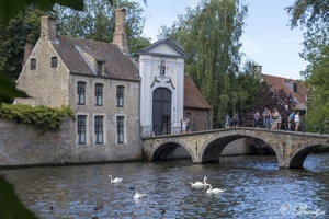 fvd040818